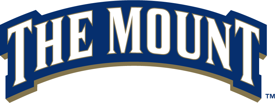 Mount St. Marys Mountaineers 2006-2016 Wordmark Logo v2 diy iron on heat transfer